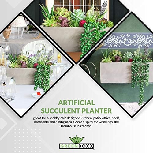 10 Realistic Succulents for Decor