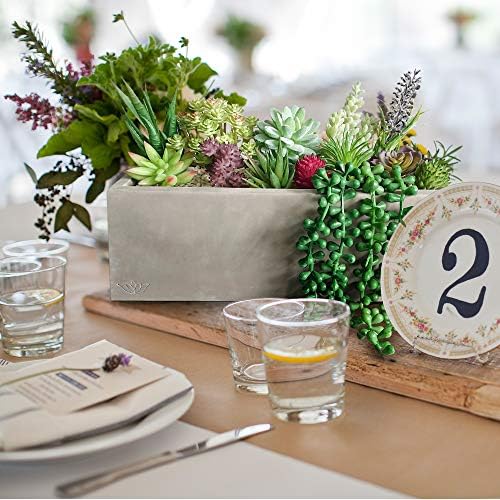 10 Realistic Succulents for Decor