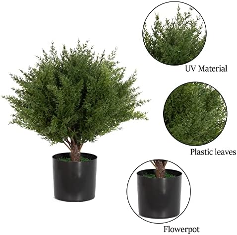 17 Stylish Topiary Decoration for Home Outdoor Use