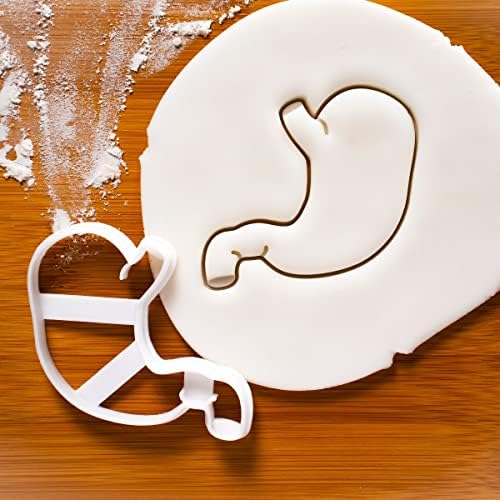 Intestines Liver and Stomach Cookie Cutters Set