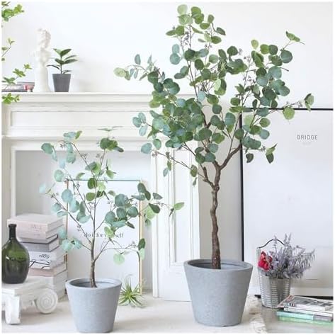 Eco-Friendly Eucalyptus Tree