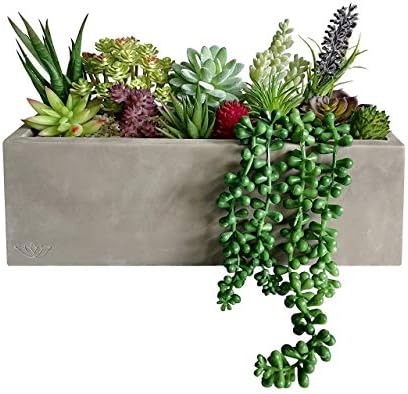 10 Realistic Succulents for Decor