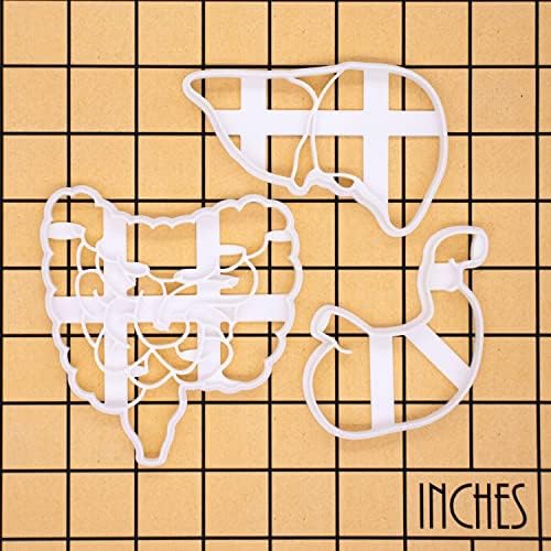 Intestines Liver and Stomach Cookie Cutters Set
