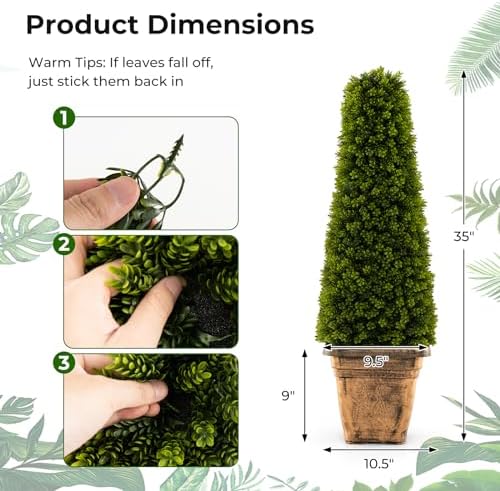 Elegant Boxwood Cone Topiary