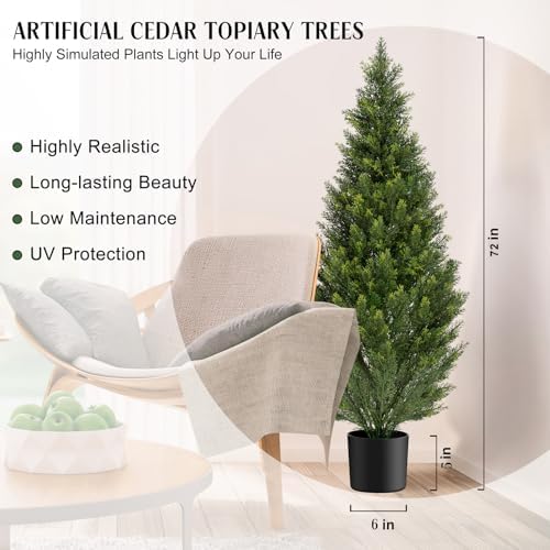 Cedar Tree Topiary Potted Plants for Your Home Porch