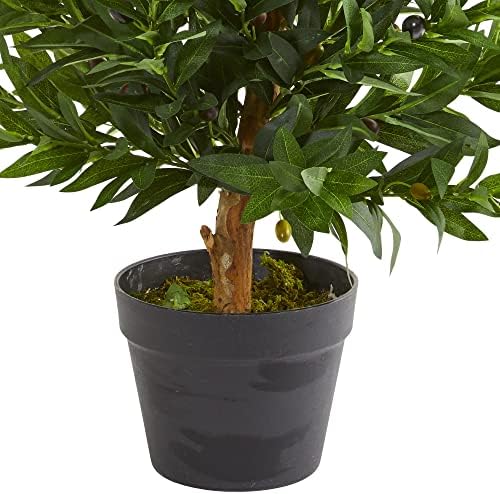 Elegant Olive Tree Topiary IndoorOutdoor
