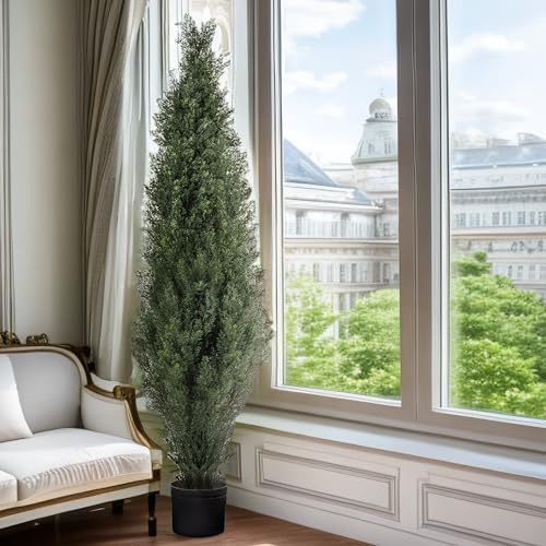 Elegant Outdoor Cedar Topiaries