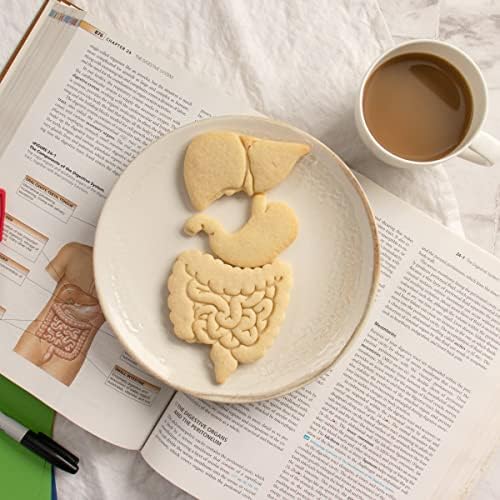 Intestines Liver and Stomach Cookie Cutters Set