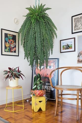 GnFlus Fake Fern 57 Outdoor Plant