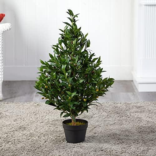 Elegant Olive Tree Topiary IndoorOutdoor