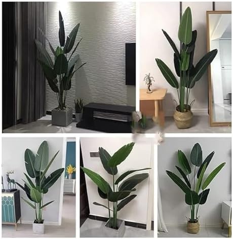 RT Bonsai Tree B essentials