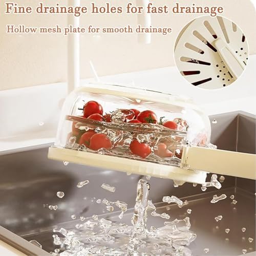 Dual Layer Washing Bowl with Foldable Handle for Fruit Vegetable