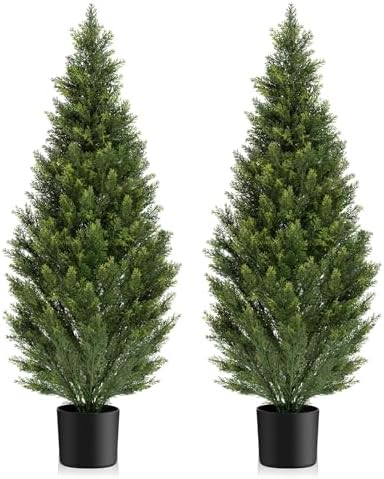 Cedar Tree Topiary Potted Plants for Your Home Porch
