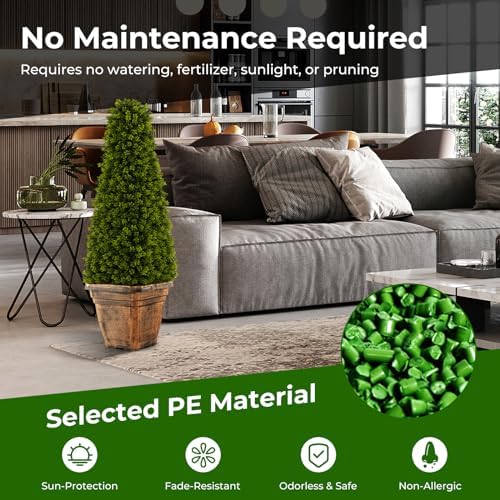 Elegant Boxwood Cone Topiary