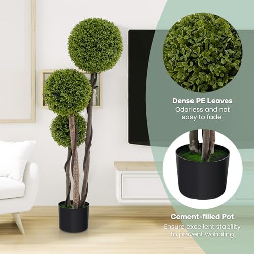 Gorgeous Boxwood Topiary Tree
