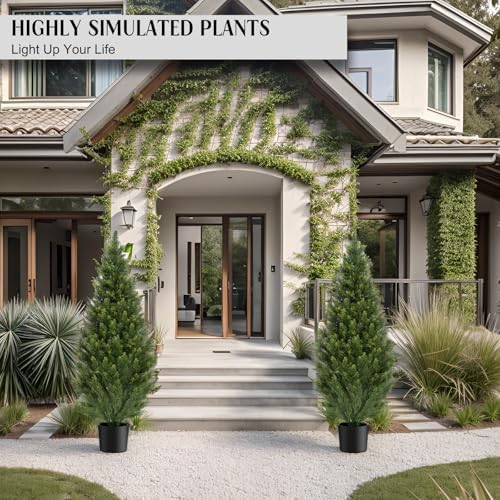 Cedar Tree Topiary Potted Plants for Your Home Porch