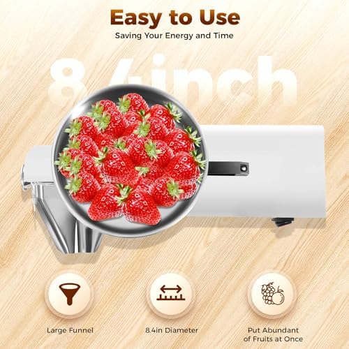 110V 450W Electric Kitchen Tool