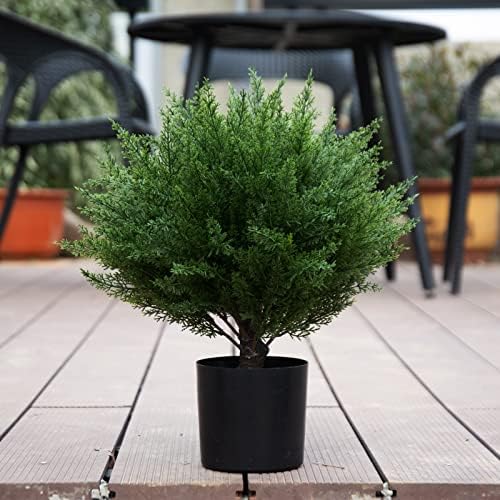 17 Stylish Topiary Decoration for Home Outdoor Use