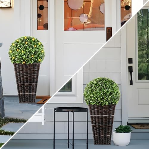 Sparkling Boxwood Topiary with LED Lights