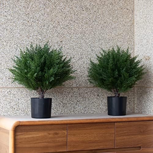 17 Stylish Topiary Decoration for Home Outdoor Use