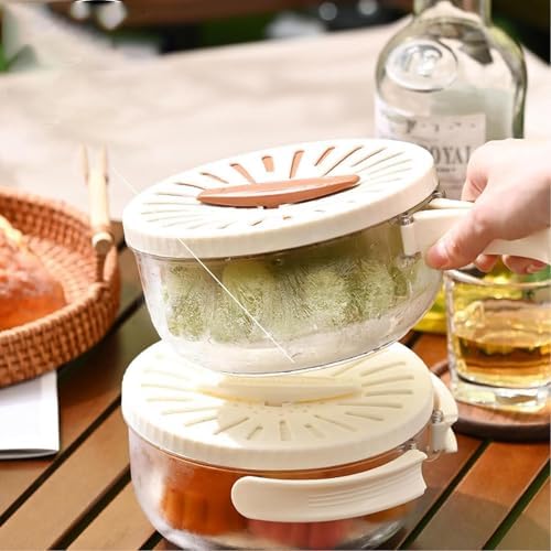 Dual Layer Washing Bowl with Foldable Handle for Fruit Vegetable