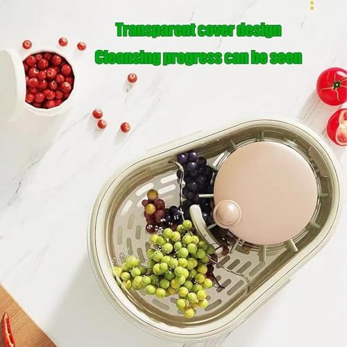 Efficient Rotary Fruit Cleaner with Brush and Colander
