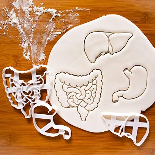 Intestines Liver and Stomach Cookie Cutters Set
