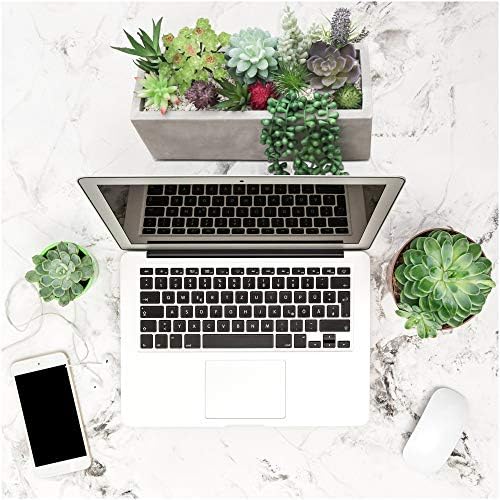 10 Realistic Succulents for Decor