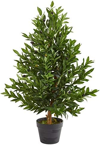 Elegant Olive Tree Topiary IndoorOutdoor