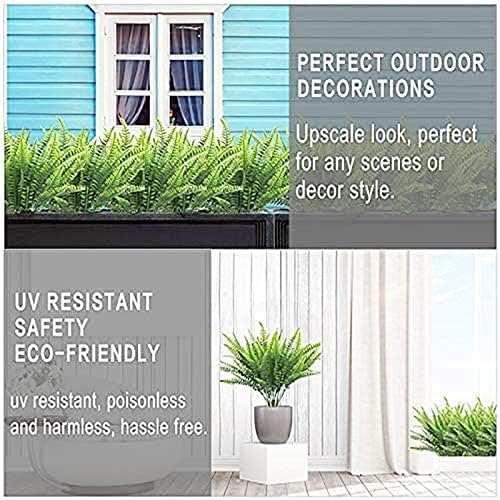 Fresh Realistic Boston Fern Plant Bundle