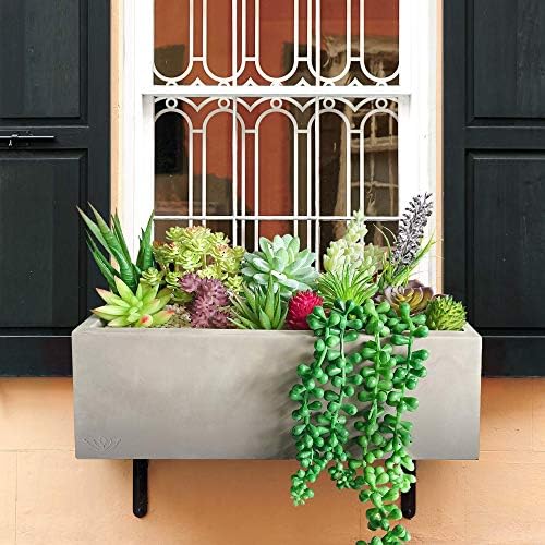 10 Realistic Succulents for Decor