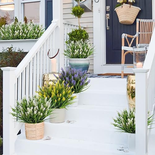 Plants Flowers for Outside