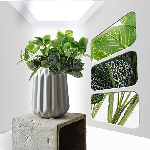 GRCQLWT Eucalyptus-Implicit Outdoor Decor