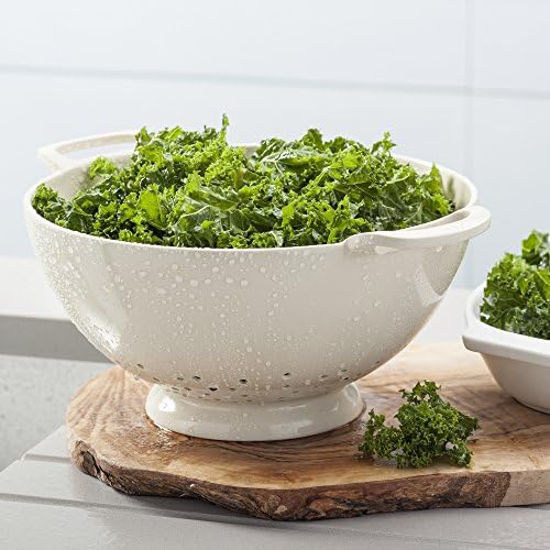 Zeal Premium Melamine Colander Durable Odor-Resistant