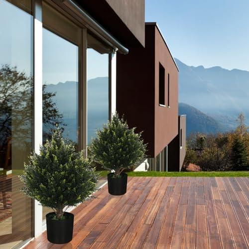 Natural-Filled Cedar Outdoor Potted Topiary