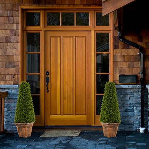 Elegant Boxwood Cone Topiary