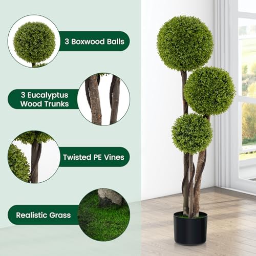 Gorgeous Boxwood Topiary Tree