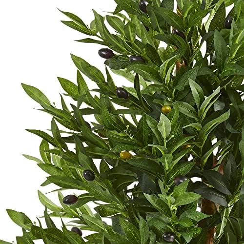 Elegant Olive Tree Topiary IndoorOutdoor