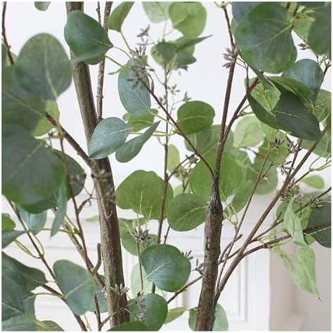 Eco-Friendly Eucalyptus Tree