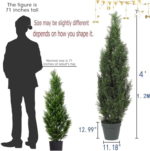 Elegant Outdoor Cedar Topiaries
