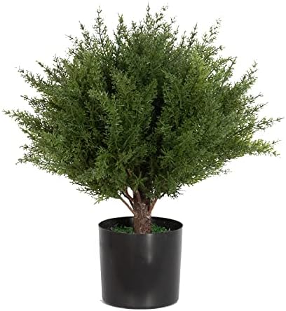 17 Stylish Topiary Decoration for Home Outdoor Use