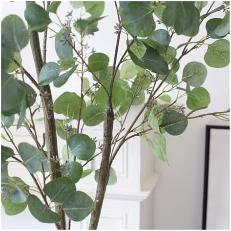 Eco-Friendly Eucalyptus Tree