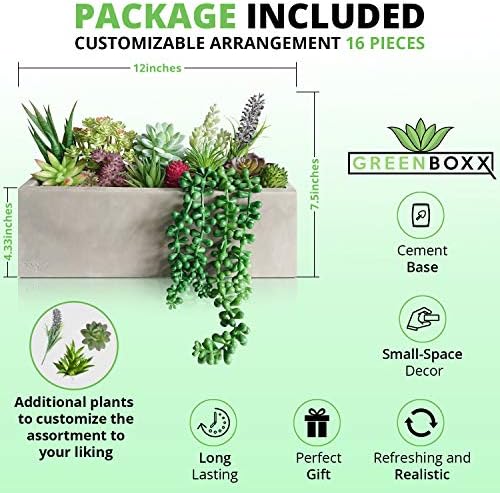10 Realistic Succulents for Decor