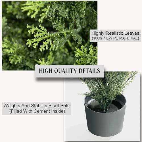 Cedar Tree Topiary Potted Plants for Your Home Porch