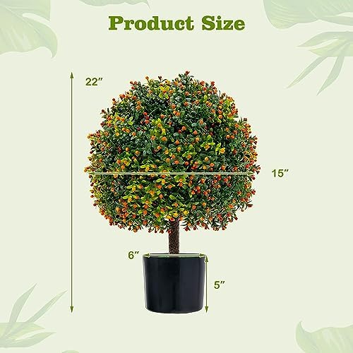 Safeplus 22 Boxwood Topiary Tree