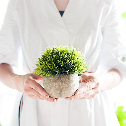 3 Mini Artificial Plants for Home Dcor