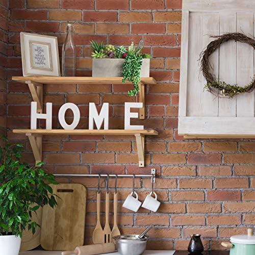 10 Realistic Succulents for Decor