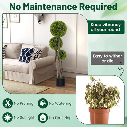 Gorgeous Boxwood Topiary Tree