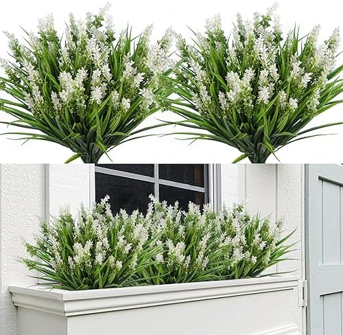 Plants Flowers for Outside