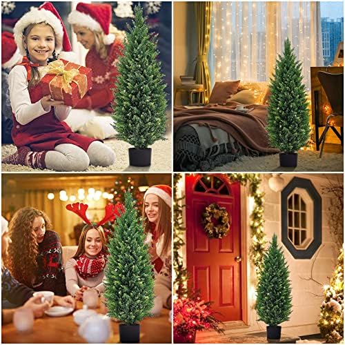 Elegant Outdoor Cedar Topiaries